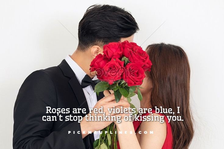 Dirty Pickup Lines on Roses are Red, Violets are Blue