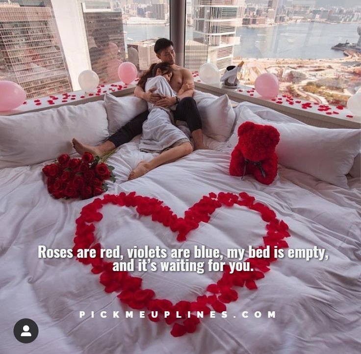 Dirty Pickup Lines on Roses are Red, Violets are Blue