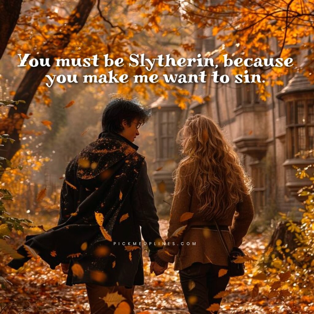 Dirty Harry Potter Pick up Lines